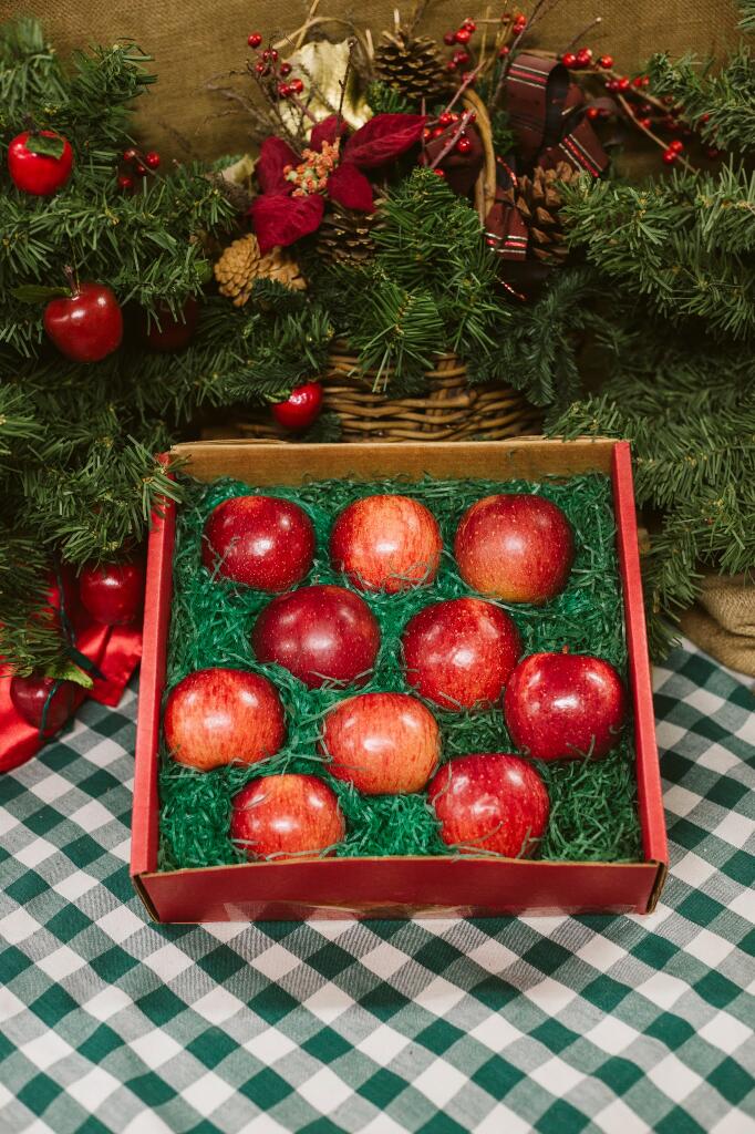 Junior Favorite Gift Box filled with apples from Pine Tree Apple Orchard